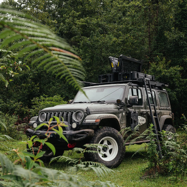 REVOLVE PIVOT MASTER X90 Roof Rack Ladder.