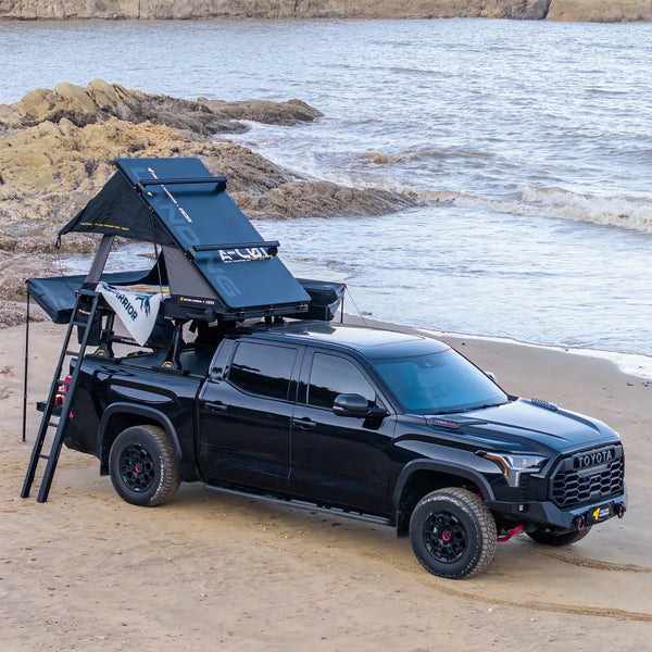 REVOLVE PIVOT MASTER X90 Roof Rack Ladder.